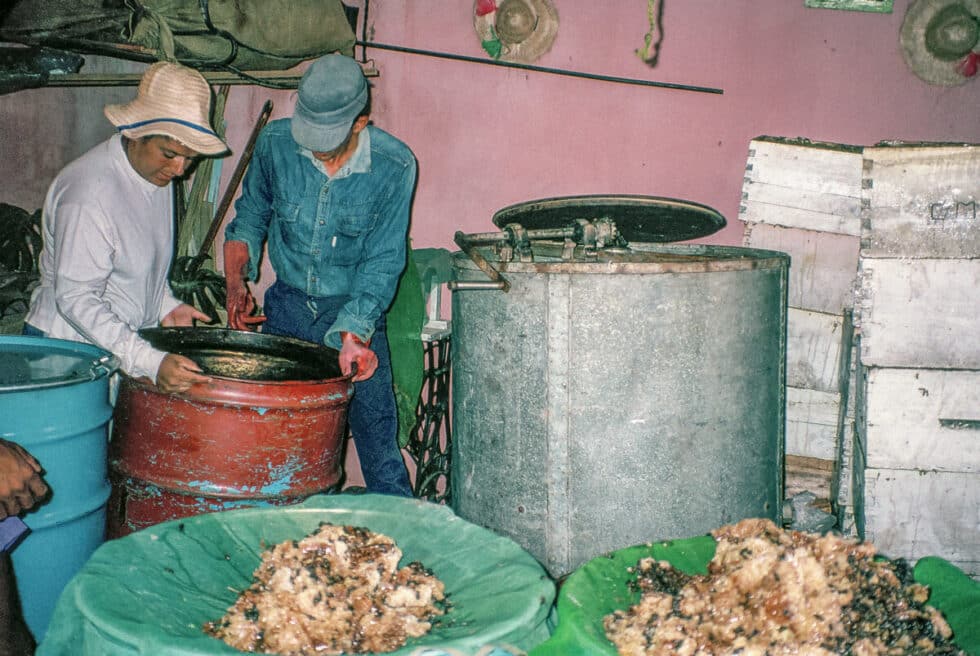 Sandra and Juan Pedro processing honeycombs. A Peace Corps volunteer’s story in Baltasar Brum, Uruguay.