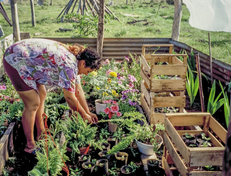 Sandra working in in garden of plants and flowers. A Peace Corps volunteer’s story in Baltasar Brum, Uruguay.