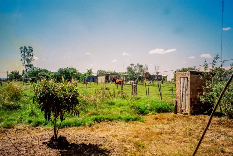 My overgrown backyard. A Peace Corps volunteer’s story in Baltasar Brum, Uruguay.